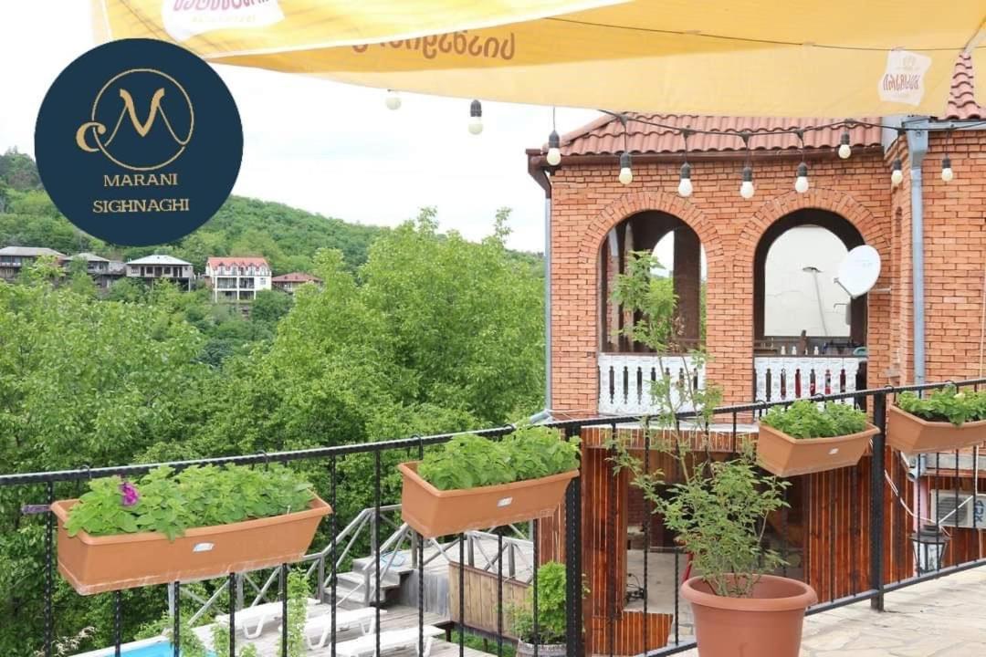 Guest House Marani Sighnaghi Bagian luar foto