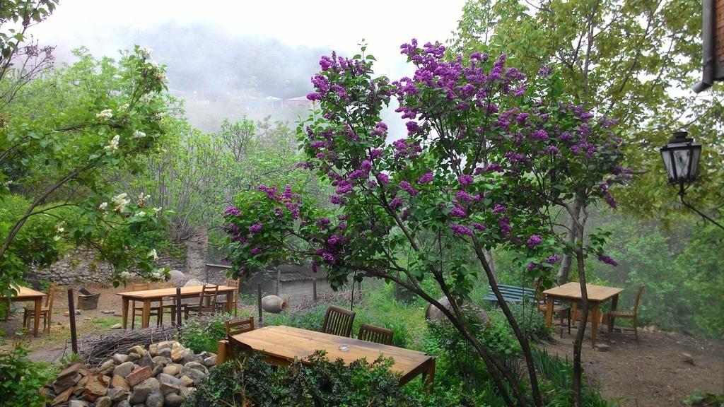 Guest House Marani Sighnaghi Bagian luar foto